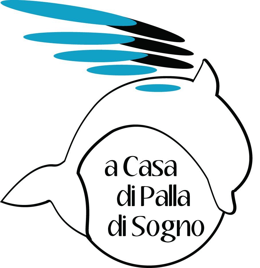 Logo del progetto A Casa di Palla di Sogno